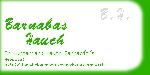 barnabas hauch business card